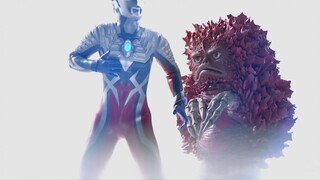 Seberapa pentingkah Pigmon bagi Ultraman Zero? Kita harus melindunginya dengan segala cara!