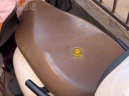 Chó con: Đồ tồi! Kiếp sau vẫn làm chó của anh!