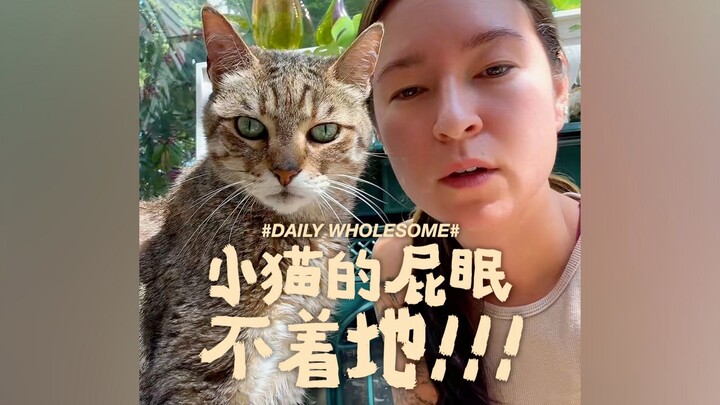 Lỗ đít của con mèo con thực sự không chạm đất!!!