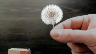 “有趣的事当然第一个分享给你”