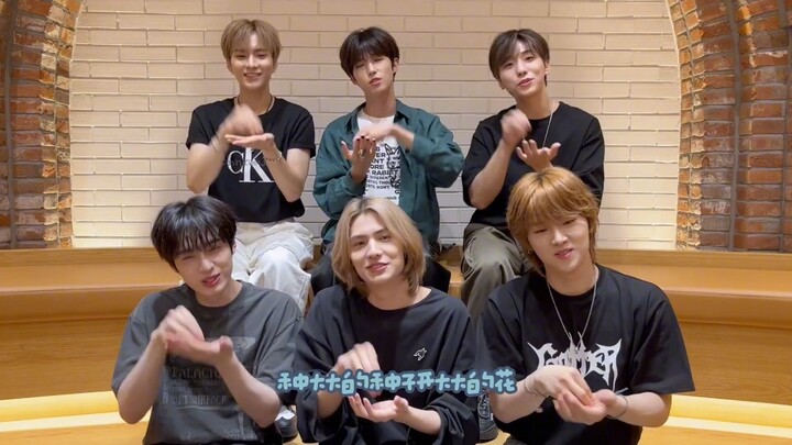 Xdinary Heroes | “五挖一”闯中的想法我真的看出来了，但是可以不要挖了吗