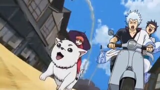 Which anime OP will fail?
