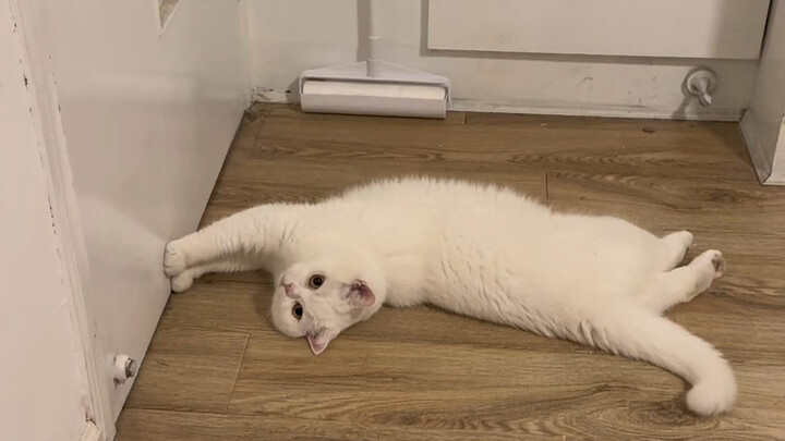 Tuan Tanah: Kok ada lubang di pintu? Aku: Coba lihat VCR-nya.