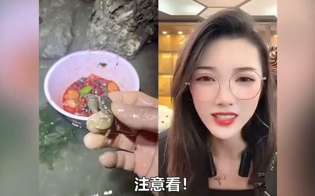 Phóng sinh = yên tâm ăn sống? Streamer đi bắt hải sản Tiểu Khiếm cố tình dọa nữ streamer, cuối cùng 