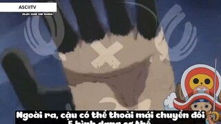 Top 8 Người Vô Tình _Ăn_ Trái Ác Quỷ trong One Piece #18 4