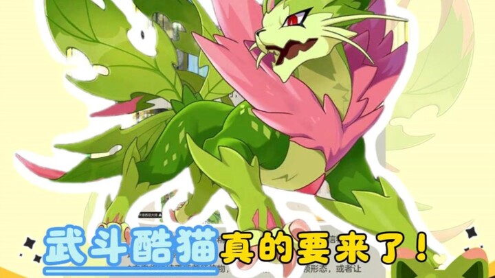 The fierce fighting cool cat is really coming!!