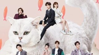 Accidentally Meow On You Ep.19 (Sub Indo)