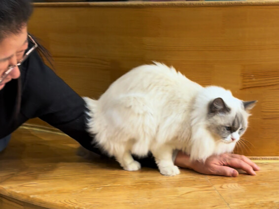 “Love Given Is Love Returned”