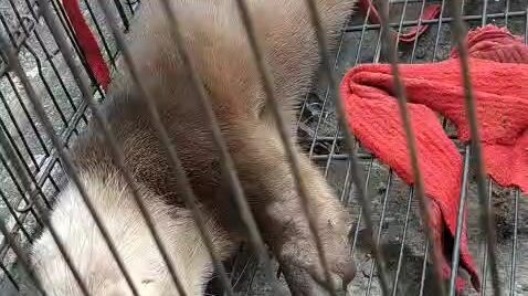 otterr santai