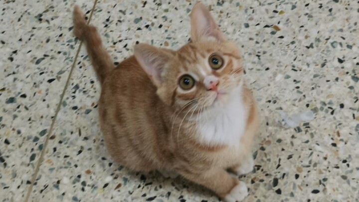 Alright, I’m making an exception and letting it stay, because it’s just too polite.