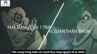 Ottaviano Montalto thánh edit - Review - Trái Ác Quỷ Của Monkey D. Dragon Là Zoan #anime #schooltime