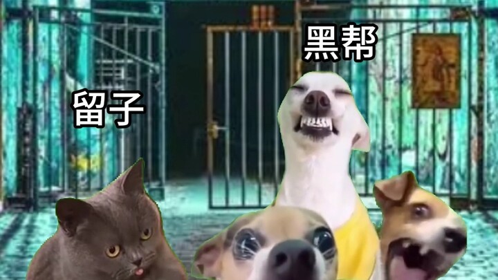 麻辣鸡爪瞬间让国外黑帮红温了