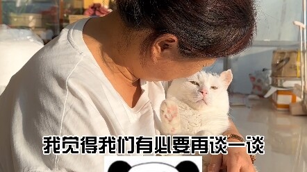 Thì ra giờ đã hiểu vì sao trong các bộ phim tổng tài lại không có nữ chính đến từ Đông Bắc… Cội nguồ