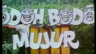 Bodoh Bodoh Mujur