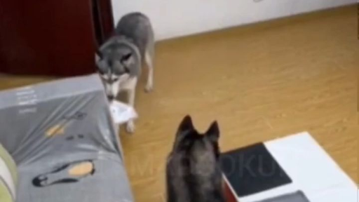 "เปิดประตูหน่อยซิ"