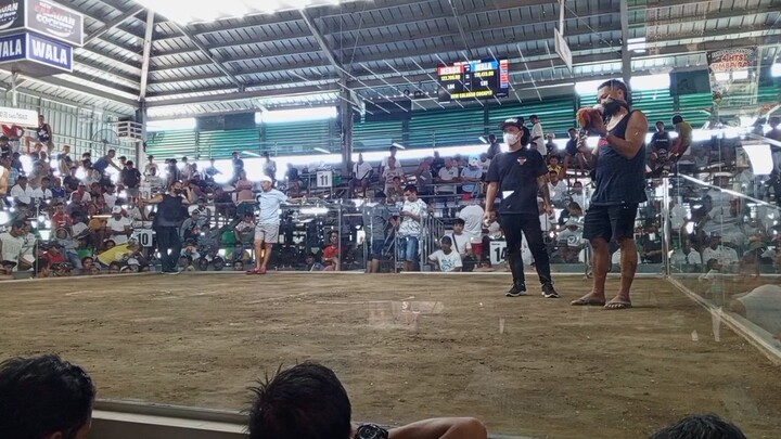2x winner Gilmore Hatch 8taon kalaban Hehehe