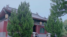 My Divine Emissary (2024) ท่านทูตเทพของข้า EP 12 [ซับไทย]