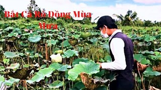 Bắt Cá Rô Mùa Mưa Và Cái Kết Phải Đi Đổ 12 Cửa Ngục Về Ăn