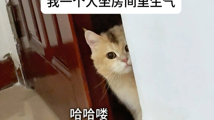 Cats that have been abandoned are always a bit “smarter.”