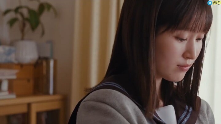 Stella Next to Me 2025_SHHZ