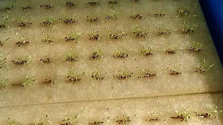 นี่คือส่วนของบ้านเรานะคะ มีอะไรสอบถามถามได้นะคะ#ขอบคุณค๊าา 🥰🥰  🥳🥳#BiliBiliส่งท้ายปี2023