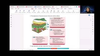 BIOLOGI F5 EPIDERMIS DAUN
