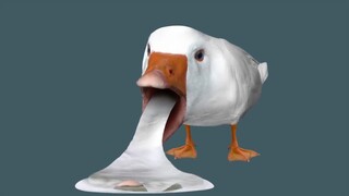 【Bizarre】Cyriak-HONK