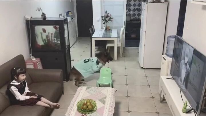#Dog