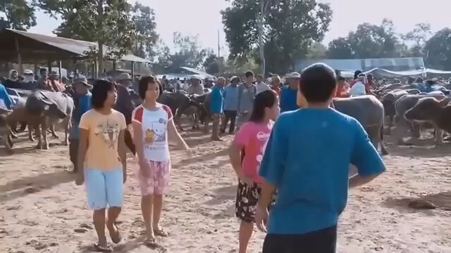 ปัญญาเรณู ภาค 2