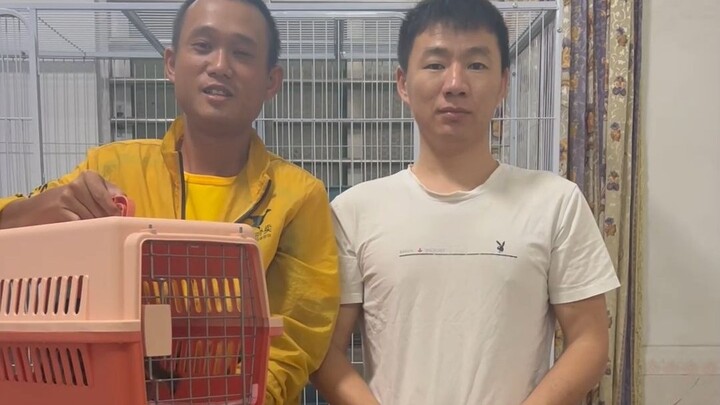 Setiap kali kamu pulang, aku selalu ada—baik saat kamu senang maupun sedih, aku akan terus menemanim