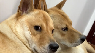 5月、6月份工资已到账，请注意查收