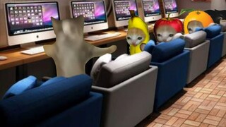 Kucing-kucing itu pergi ke kafe internet sepanjang malam, tetapi meninggalkan kucing pisang...