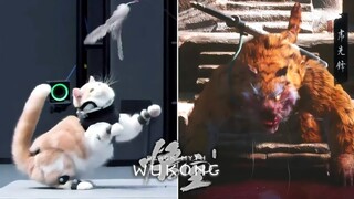 [Black Myth: Wukong] Ghi hình chuyển động của Cat Master | Bộ sưu tập hậu trường Tổng quan 9 phút!