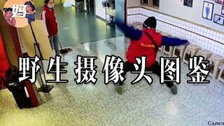 【野生人类图鉴】给你五毛，把我家监控拆了