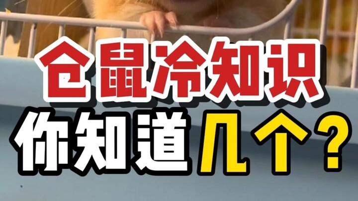 เกร็ดความรู้เล็กๆ น้อยๆ เกี่ยวกับหนูแฮมสเตอร์ที่คนไม่ค่อยรู้ คุณรู้หมดแล้วหรือยัง?