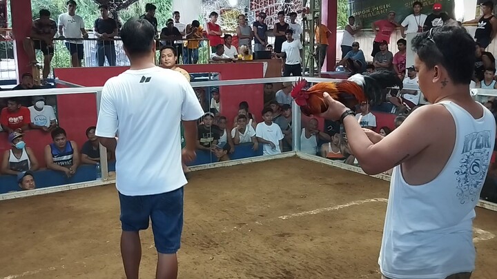 SBR vs Black Gold - Balete Cockpit