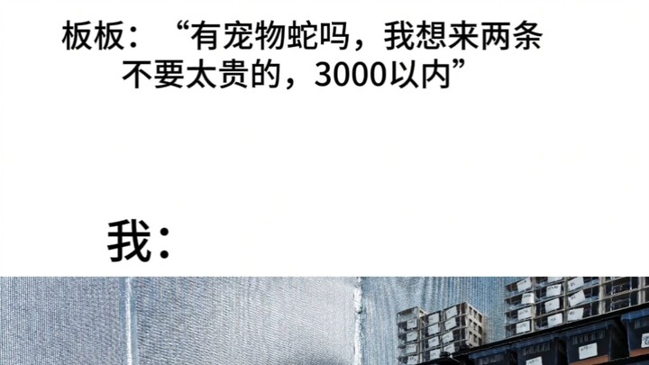 เอาเงิน 3,000 หยวนมาซื้องู ยิมโนการ์ดก็ฉันสร้างให้คุณเอง