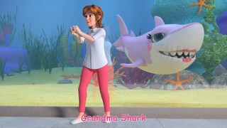 Baby shark (cocomelon)