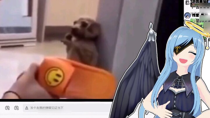 Clear Angel Jepang menyaksikan "Orang Timur Laut mengajari anjing memungut sampah, sepertinya ibu sa