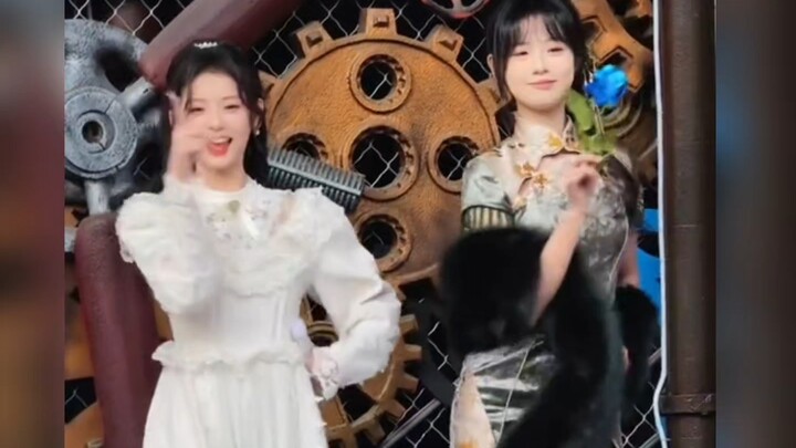 他被誉为痛风三人组之首#古风#杀生鱼丸#颜值