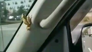你越害怕一件事，它就越可能发生