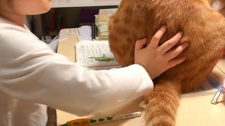 Ternyata Ada “Kecurangan” di Balik Anak yang Mengerjakan PR Lambat!