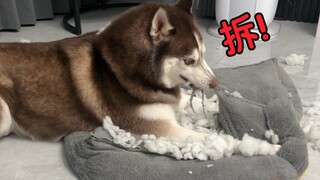 Memanfaatkan orang lain untuk mencapai tujuan sendiri!