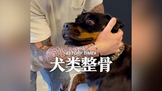 【犬类整骨】还可以这样的吗？