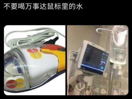 Fun Fact: The water inside Wanda’s mouse is sweet!!