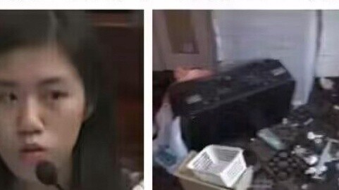 The cockroach flower withered in the ba*t: * electronic pet starved to deat