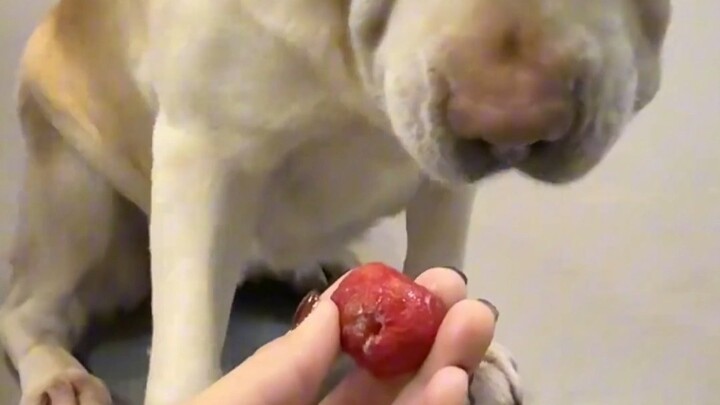 So, am I going to eat it or not?