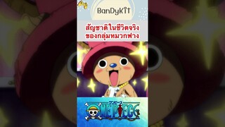 วันพีช:สัญชาติคนในกลุ่มหมวกฟาง #shorts #roblox #bloxfruits #onepiece #fypシ #anime #tiktok #gaming