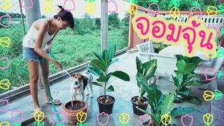 โลกของแสนดี ตอน ช่วยพี่เมยดูแลต้นไม้