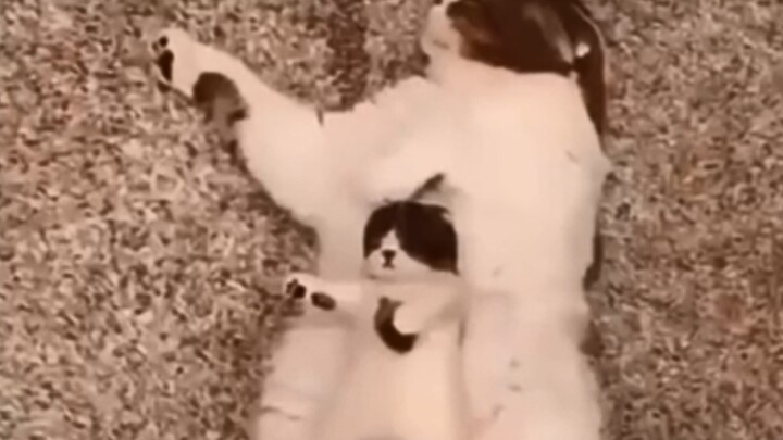 100% synchronization rate
